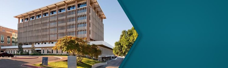 Austin regional intelligence center jobs