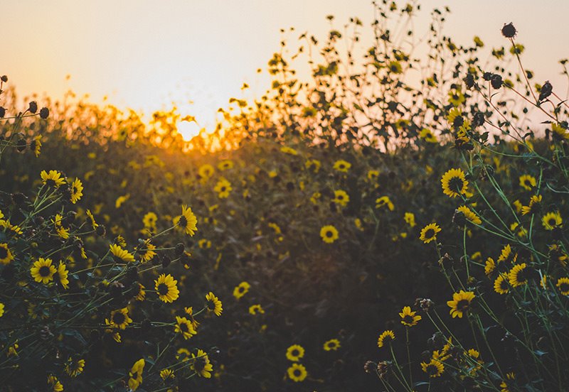 Can allergies cause a soar throat?