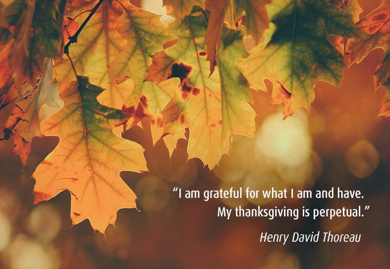 Happy Thanksgiving from your ARC family!